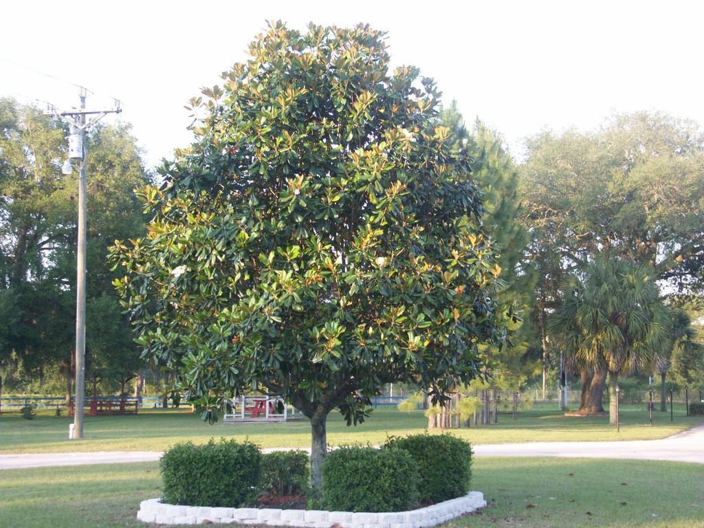 Deerwood Inn & Madison Campground מראה חיצוני תמונה